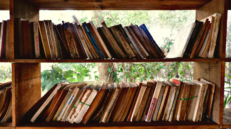 Scripture, Shelves, and Storytelling: How the Bible Belt Quietly Raised America's Most Devoted Readers