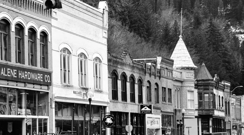 Where Everyone Has a Library Card: The Small American Towns That Made Reading Their Whole Thing